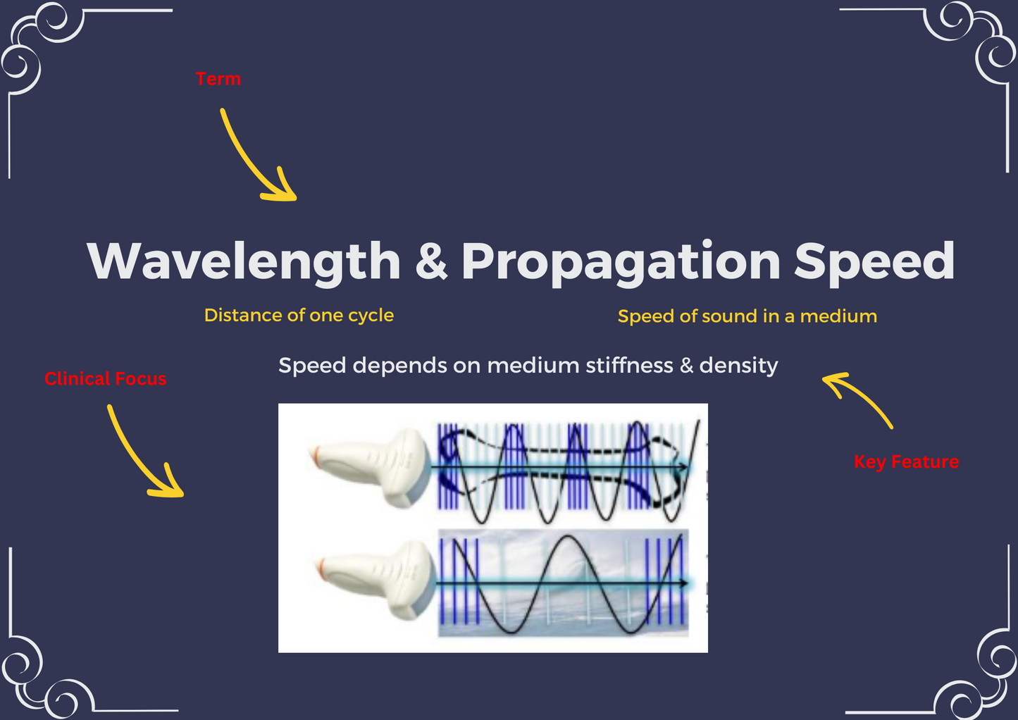 Ultrasound Physics Flashcards | Sonography Student Success Kit | ARDMS SPI  Prep Essentials